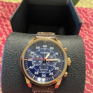Citizen Gold and Blue Chronograph Watch